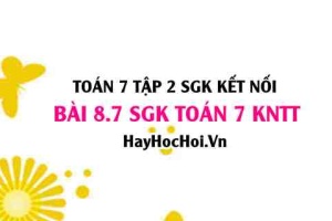 Bài 8.7 SGK Toán 7 Tập 2 Kết nối tri thức